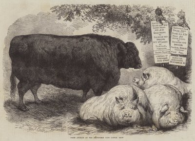 Prize Animals at the Smithfield Club Cattle Show by Samuel John Carter